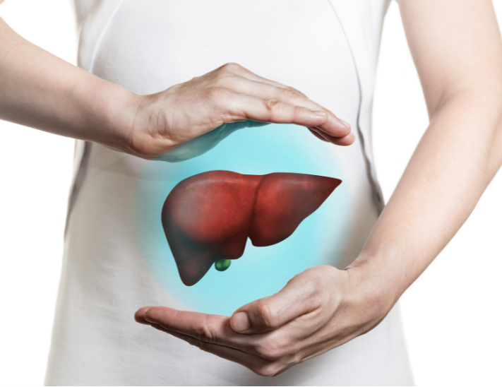 Hands Protecting Human Liver