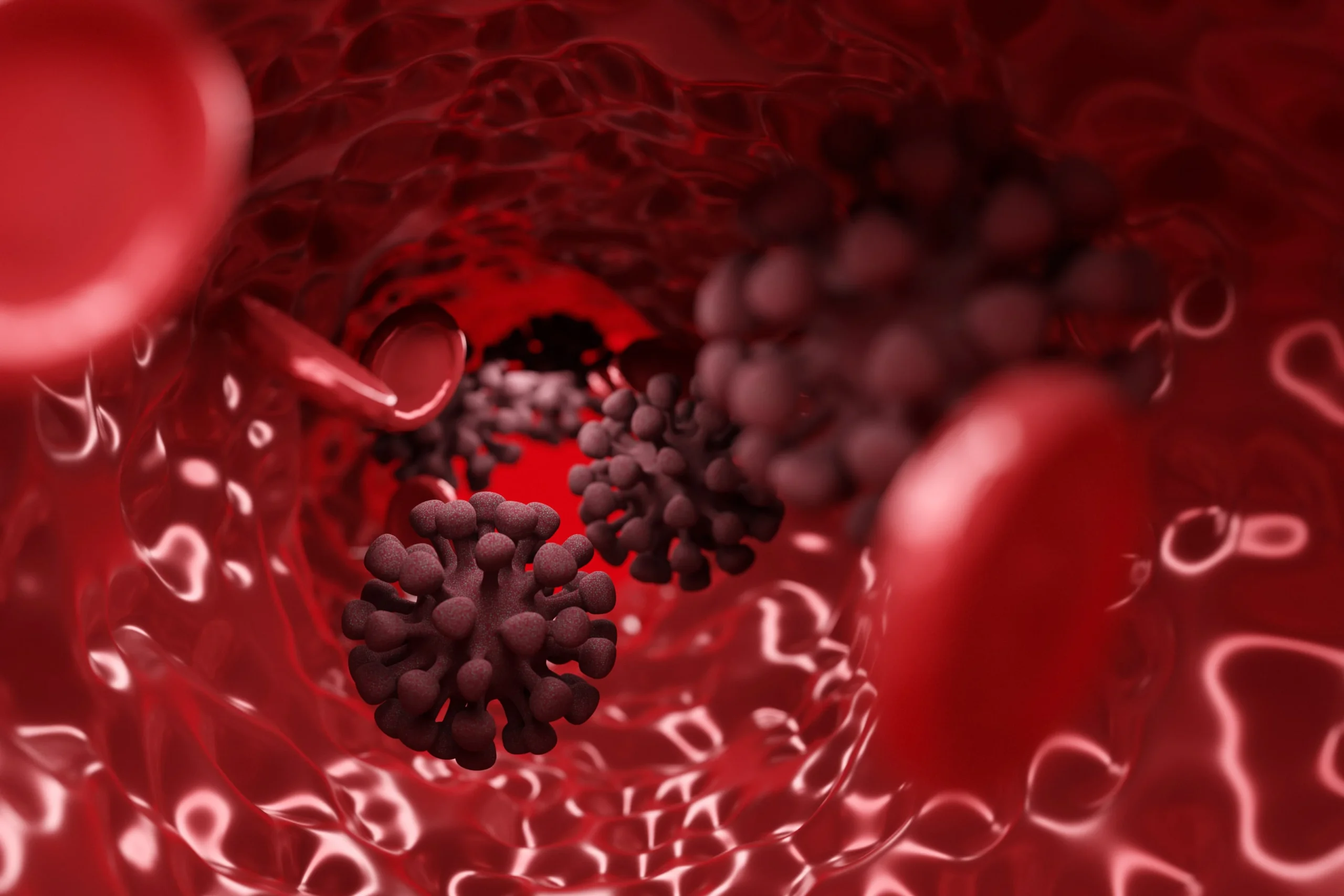 Blood Flow With Virus Particles