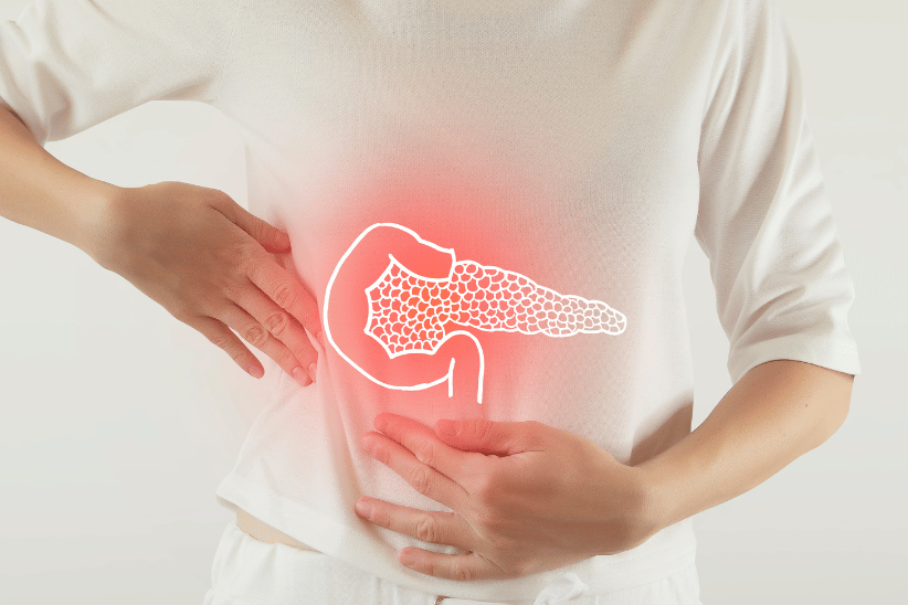 Human Pancreas Pain Area Highlighted on Body with Diagram